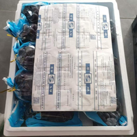 Prix Compétitif Raisins Noirs d'Été Sans Pépins Sucrés Comestibles pour Table et Dessert Fruits Premium Boîte Carton 5kg Export