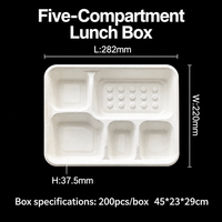 Barquette repas biodégradable en bagasse de canne à sucre à 5 compartiments avec couvercle, compostable, jetable, capacité 36 oz, pour pique-nique moderne