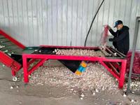 Fabrieksleverancier van fruit- en groentesorteer- en -gradeermachines, ui- en knoflooksorteer- en -reinigingsmachines te koop
