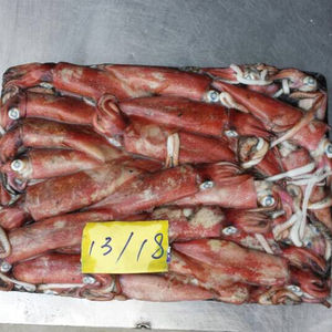 حبار صغير مجمد من نوع لوليجو - Product Image 3