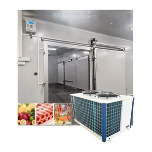 Olá Caminhada comercial do tipo do rio no congelador da sala fria para o carneiro/peixe/frango recipiente de armazenamento congelado vegetal do refrigerador