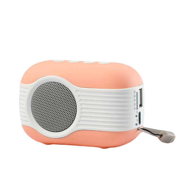 HS-3383 Manufacturer Wholesale Mini Speaker Bt Portable Fm Radio Speaker Support TF Card