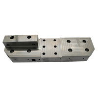 Componentes de Molde de Acero Inoxidable con Pulido Espejo, Mecanizado CNC de 5 Ejes, 100% Inspeccionados, Forma Compleja, Piezas de Prototipo