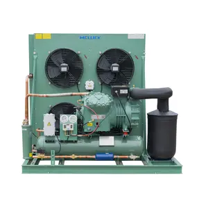 Air Cooled Freezer Condensing Unit Compressor Used New Blast Freezer Restaurants Manufacturing Condensing Unit