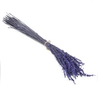 Bunga Lavender Stabil Terawetkan Dekoratif - Dekorasi Dalam Ruangan Bentuk Lengkung untuk Hari Ayah, Paskah, Halloween