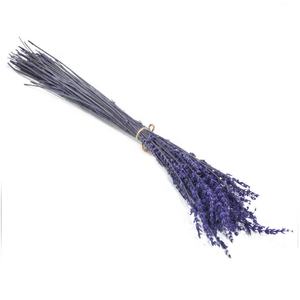 Flores decorativas preservadas <span class=keywords><strong>lavanda</strong></span> flor estabilizada <span class=keywords><strong>lavanda</strong></span> - Product Image 4