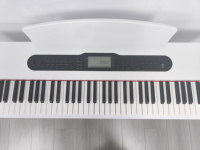 Weißes Glänzendes Digitalpiano mit 88 Tasten und Gegengewicht-Eisenmechanik, Musikinstrument Y-815