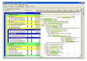 Logiciel de gestion de projets d'ingénierie autonome P6 Lifetime One Drive Send Download Link Orac Primavera P6 - Product Image 3