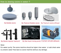 Diffuseur d'ozone en pierre pour ozone / lessive / poissons