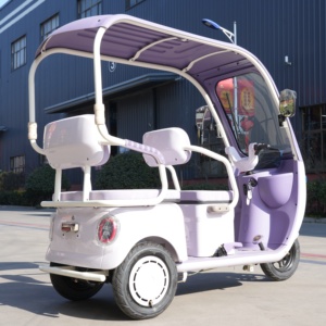 Tricycle familial, petit tricycle réglable à trois places pour 3 personnes - Product Image 1