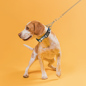 Custom <b>PVC</b> Dog Collar With Reflective <b>Strips</b> Waterproof Durable For Outdoor Walking Medium Size Solid Color Simple Style - Product Image 1