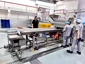 Broyeur de raisin de vin de prix usine Destemmer pour le traitement de raisin faisant la <span class=keywords><strong>machine</strong></span> - Product Image 6