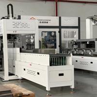 Machine d'emballage automatique robuste pour ligne de production de revêtements de sol en vinyle