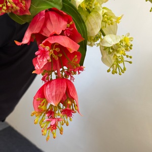 Flor Artificial Colgante de Medinilla <span class=keywords><strong>Magnifica</strong></span> Rosa de 120 cm para Decoración de Bodas y Hogar - Product Image 6