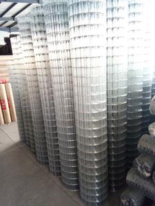 <span class=keywords><strong>Grillage</strong></span> d'acier galvanisé <span class=keywords><strong>électrosoudé</strong></span> de 1.90mm 75x50mm pour l'Uruguay - Product Image 4