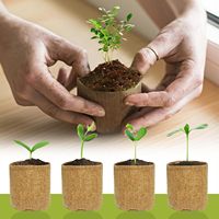 Kit de démarrage portable pour bonsaï au design Art Déco haut de gamme, boîte cadeau en bois, tapis de repotage, pots en toile de jute, outils de jardinage pour adultes