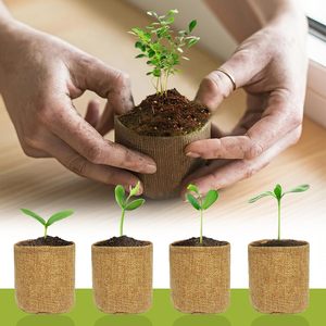Kit de démarrage portable <span class=keywords><strong>pour</strong></span> bonsaï au design Art Déco haut de gamme, boîte cadeau en bois, tapis de repotage, pots en toile de jute, outils de jardinage <span class=keywords><strong>pour</strong></span> adultes - Product Image 6