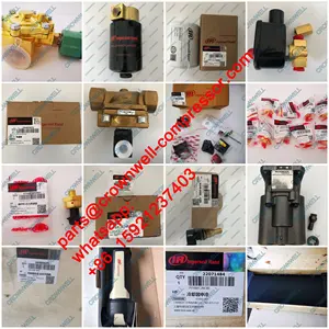 Echte originele Ingersoll rand Bleed magneetventiel 23402670