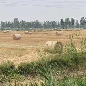 <span class=keywords><strong>1</strong></span>.23*3000 מ 'עגול חציר רשת בלר עטיפה עמיד לעטוף בד לעטוף רשת - Product Image 6