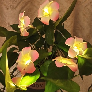 ไฟ Led ประดับวันหยุดอื่นๆ,ไฟ LED สำหรับตกแต่งงานแต่งงานไฟสาย Led 10ดวงสำหรับห้องนอนตกแต่งเทศกาลคริสต์มาส - Product Image 4