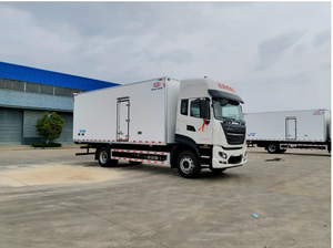 Camión Frigorífico Manual 4X2 de 10 Toneladas, Nuevo, con Combustible Diésel - Product Image 4