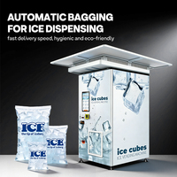 Système de fabrication, emballage et vente automatique de glace 24h/24 et 7j/7, kiosque à glace en sachets sans personnel, distributeur de glace extérieur avec auvent