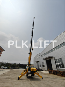 3-<span class=keywords><strong>10</strong></span> طن مصغرة بطارية ديزل رافعة عنكبوتية رافعة بناء مجنزرة للبيع - Product Image 5