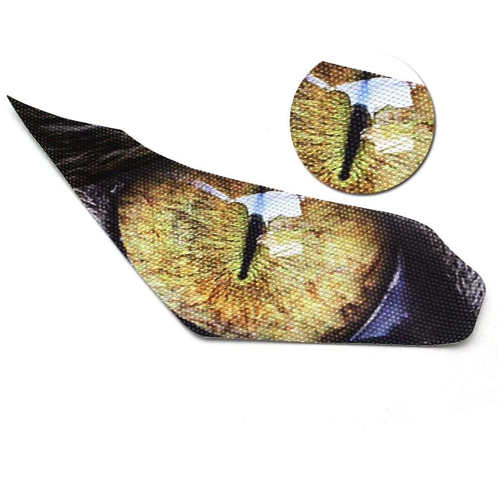 Kawasaki Ninja 250/300 Motorcycle Headlight Sticker & Decal