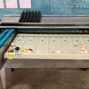 Máquina Procesadora de Huevos Automática de Alta Capacidad Comercial, 4500 Huevos por Hora, Sistema de Clasificación y Calibrado de Huevos de Acero Inoxidable - Product Image 6