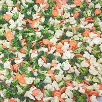 Légumes Mixtes Surgelés de Qualité Supérieure Grade A, Processus IQF, Emballage en Vrac, Prix Grossiste