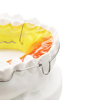 Dental Begg Wrap Retainer Model Çıkarılabilir Ortodontik Tutma Cihazı Tıbbi sınıf 316L Paslanmaz Çelik Karışık Diş Sistemi Direği