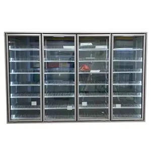 Vente d'usine armoire de stockage froid congélateur Commercial porte en verre pour marche refroidisseur congélateur atteindre dans l'étui affichage refroidisseur