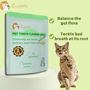 Organik sağlıklı somon gevrek bisküvi kediler ve köpekler mide bakımı için toptan güvenli tedavi - Product Image 6