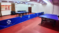 Filet de protection professionnel pour ping-pong d'intérieur - Barrière de terrain portable en acier et tissu Oxford pour un entraînement facile