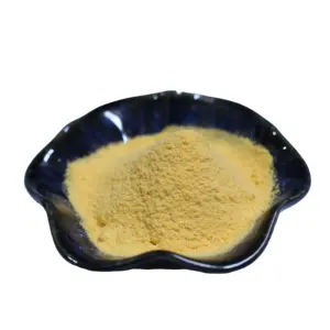 Factory Outlet Durian Fruit Powder Hot Selling Durian Fruit Juice Powder OEM/ODM Capsules Available Freeze Dry