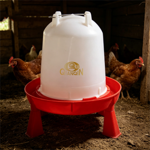 Abreuvoir stable à quatre pieds anti-déversement à gravité pour poulets <span class=keywords><strong>de</strong></span> chair, poules pondeuses et canards, destiné aux fermes et au marché africain - Product Image 5