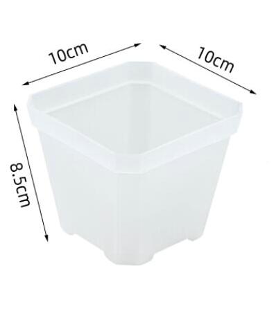 Transparente 10CM