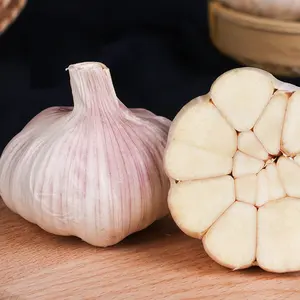 Alho em pó de alta qualidade, preço de fábrica por atacado, malha variada de alta qualidade