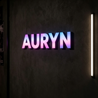 Enseigne lumineuse LED RGB personnalisée Carrey Sign, enseigne à lettres canal, panneau d'affichage intérieur, enseignes de bar dynamiques couleur intégrale, logo pour la publicité
