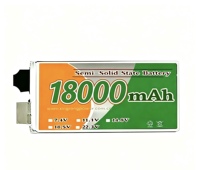 Pin bán rắn Xingrong 15000mAh 18000mAh 20000mAh 29500mAh 35000mAh 50000mAh 3.7V 45A 350Wh/kg Tuổi thọ 800 chu kỳ