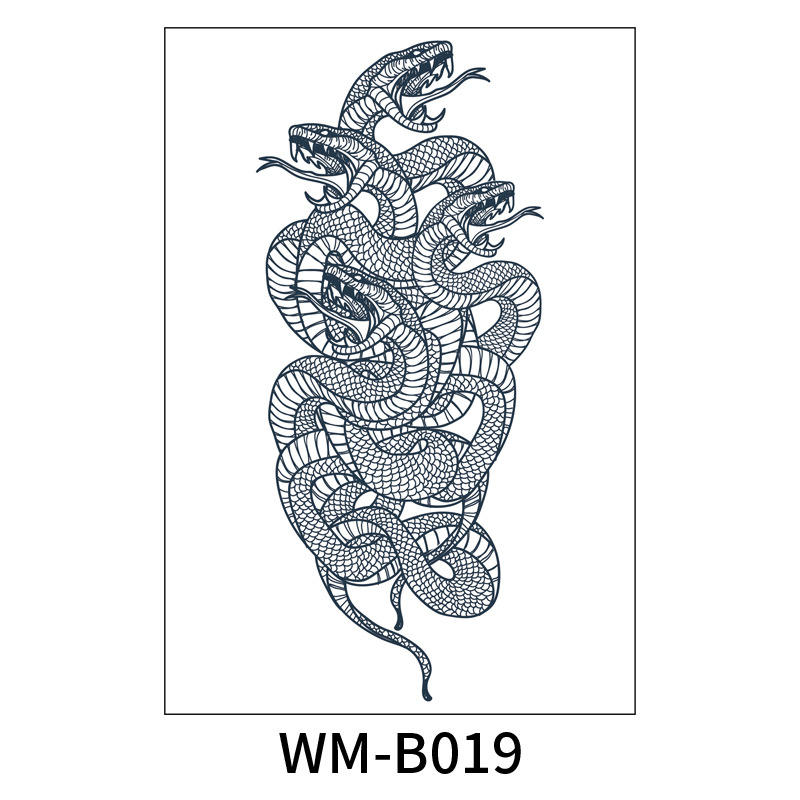 WM-B019