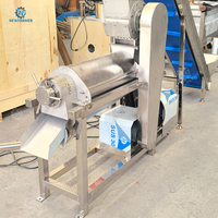 Calamansi-sapcentrifuge van roestvrij staal, koude pers, commerciële sapcentrifuge voor fruit, groenten, gember, verse sapbereiding