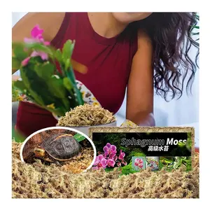 Musgo Sphagnum de fibra larga de primera calidad, musgo de turba Sphagnum de ladrillo seco comprimido personalizado para plantas de sustrato de reptiles