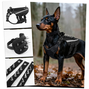 Chaleco Reflectante de Alta Resistencia para Perro con Asa, Diseño Nuevo, Protección Anti-Halcón, Impermeable, de Nailon, con Púas - Product Image 2