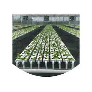 hydroponics nft hydroponic channel channels Modern Quality Stable Agriculture System for hydroponic growing