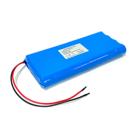 Paket Baterai Lithium LiFePO4 6.4v 12v 12.8v 24v Isi Ulang, Daya Tahan 6000 Siklus, Kapasitas Dapat Disesuaikan (2-50Ah), Dilengkapi BMS, Garansi 1 Tahun