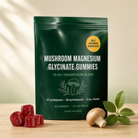 Gummies personnalisées en vrac de magnésium glycinate de champignon avec crinière de lion et bacopa pour une formule de concentration cérébrale