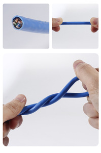 Câble réseau torsadé non blindé 8 conducteurs en cuivre sans oxygène Wangsheng personnalisé, <span class=keywords><strong>6A</strong></span>, 300 m, Guangdong - Product Image 3