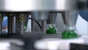 Pastillas para Estimular el Apetito NGL Extra Fuertes para Adultos, Fortificadas con Lisina, Ácido Fólico, Hierro, Tiamina y Complejo B - Product Image 4