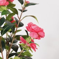 Planta Artificial de Camelia en Maceta de Plástico para Interiores y Exteriores, Decoración de Oficina, Jardín y Hogar, Plantas Artificiales